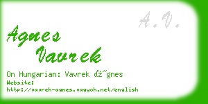 agnes vavrek business card